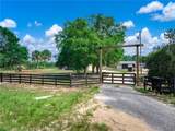 5300 Devilwood Street - Photo 41
