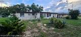 31 Wolf Street - Photo 19