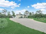10134 Orange Blossom Boulevard - Photo 28