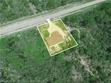 10134 Orange Blossom Boulevard - Photo 34