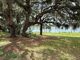 42078 Abram Avenue - Photo 3
