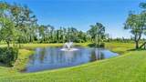 339 Mini Ranch Road - Photo 12