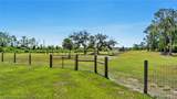 339 Mini Ranch Road - Photo 41