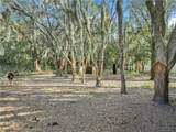 423 9th Street - Photo 44