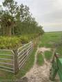 635 County Road 731 - Photo 11