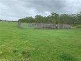 635 County Road 731 - Photo 7