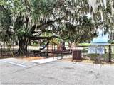 334 Falcon Street - Photo 4
