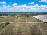 4199 Desoto City Road - Photo 5