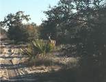 5525 Sparta Road - Photo 18