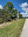 1148 Wildflower Street - Photo 3