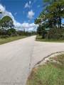 1148 Wildflower Street - Photo 4