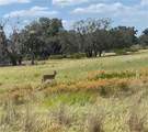 320 Grigsby Road - Photo 17