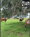 320 Grigsby Road - Photo 20