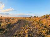524 Lott Grade - Photo 5
