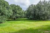 133 Park Land Drive - Photo 38