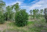 9 Siesta Lane - Photo 13