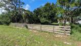 513 Serenade Terrace - Photo 25