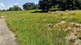 1289 Blue Heron Drive - Photo 5