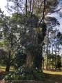 9125 Spur Path - Photo 27