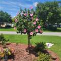 16 Meadowlake Circle - Photo 36