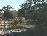 5525 Sparta Road - Photo 29