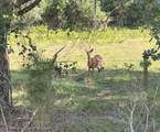 125 Otter Trail - Photo 47