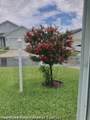 648 Carmichael Street - Photo 5