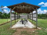 4795 Josephine Road - Photo 9