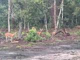 125 Otter Trail - Photo 39