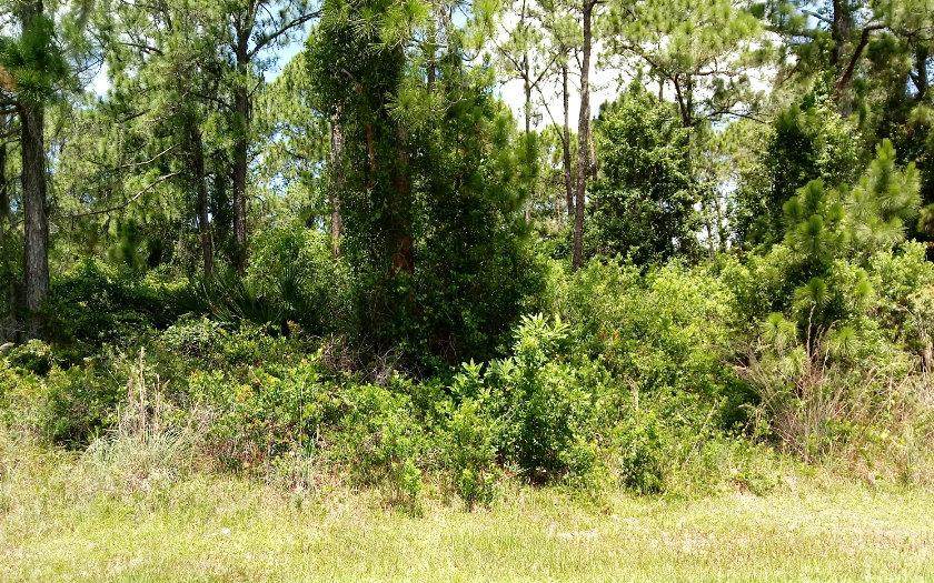 5431 Ponce De Leon Boulevard - Photo 1