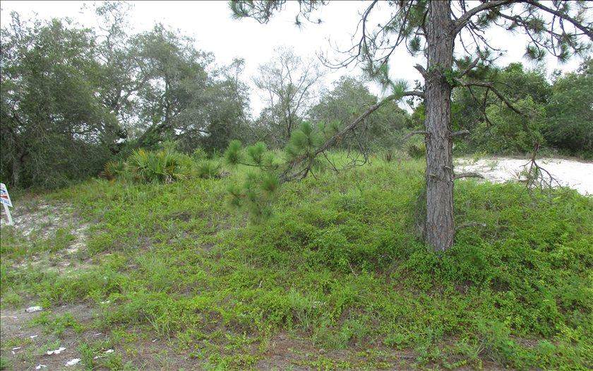 400 Ecstasy Avenue - Photo 1
