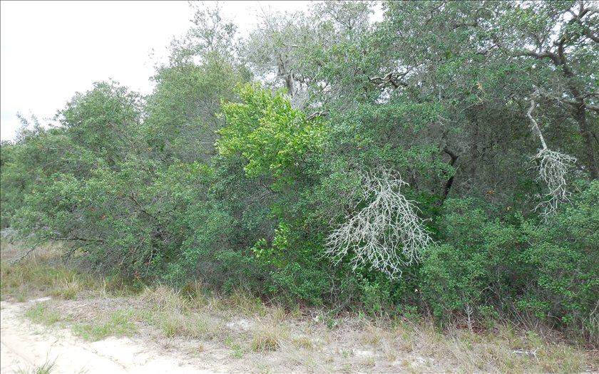 2628 Johnson Road - Photo 1