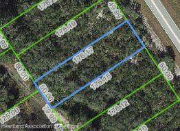907 County Road 29 Road - Photo 1