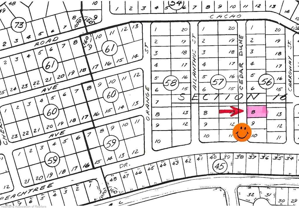 Cedar Dune Street - Photo 1