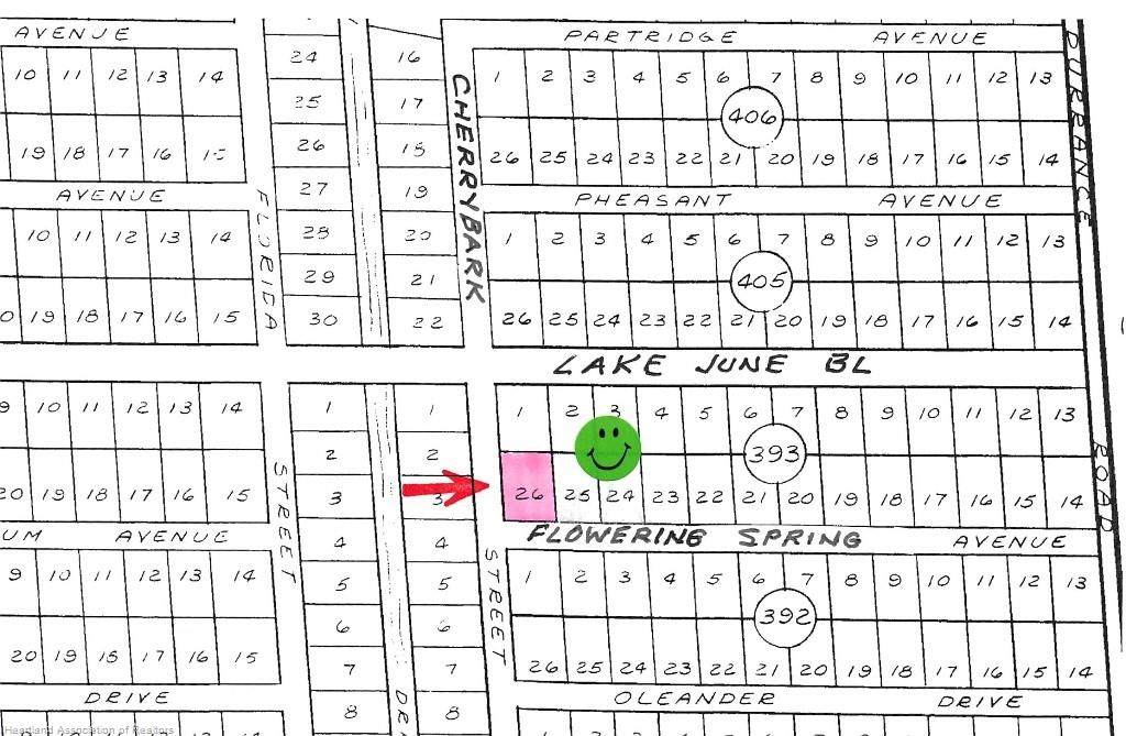 3425 Flowering Spring Avenue - Photo 1