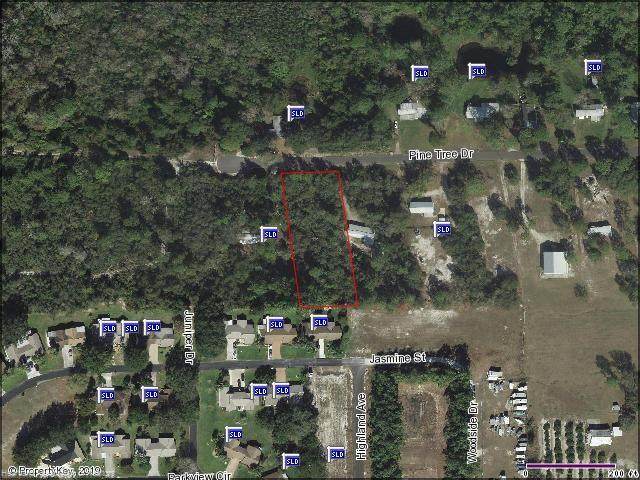 168 Pine Tree Drive - Photo 1