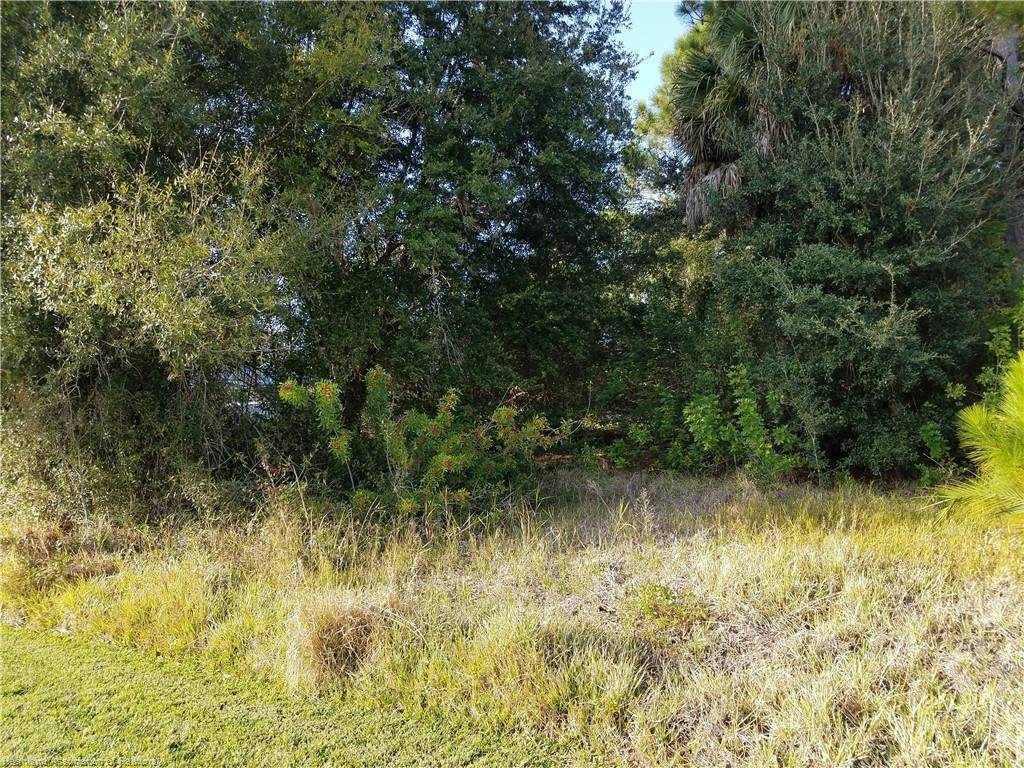 121 Blue Moon Avenue - Photo 1