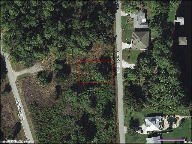 1023 Lake Carrie Drive - Photo 1