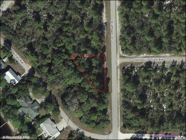 1234 Wildflower Street - Photo 1