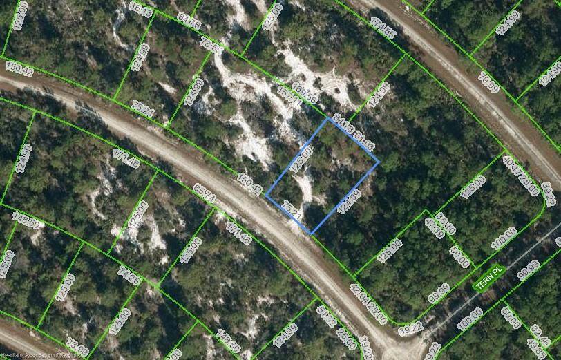 1133 Robin Street - Photo 1