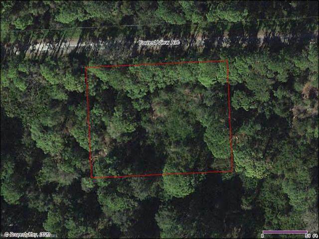 3228 Forrest View Avenue - Photo 1