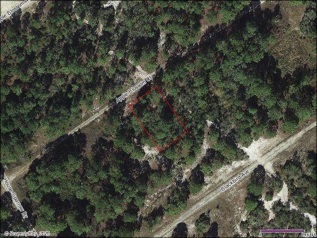 443 Apple Blossom Court - Photo 1