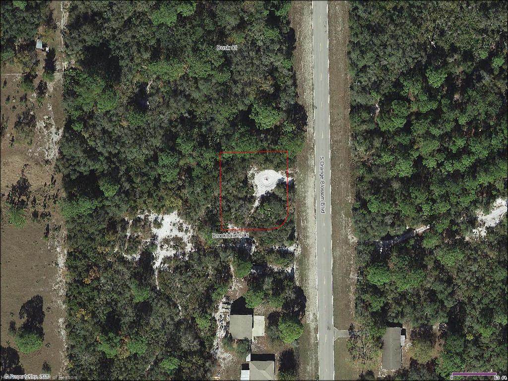 9847 Orange Blossom Boulevard - Photo 1