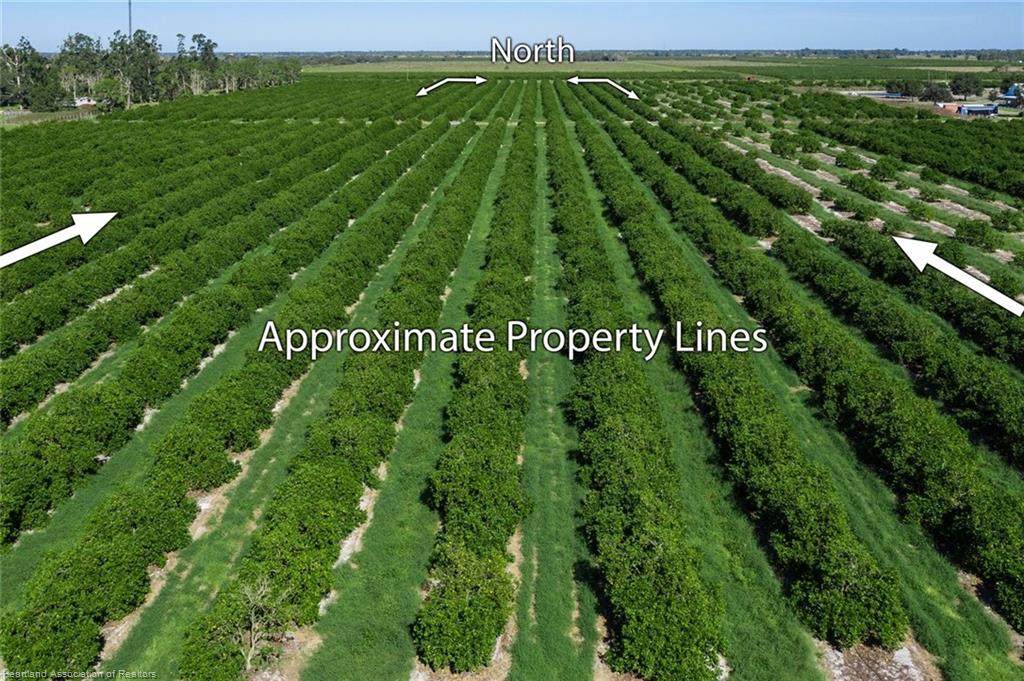 160 County Road 731 - Photo 1