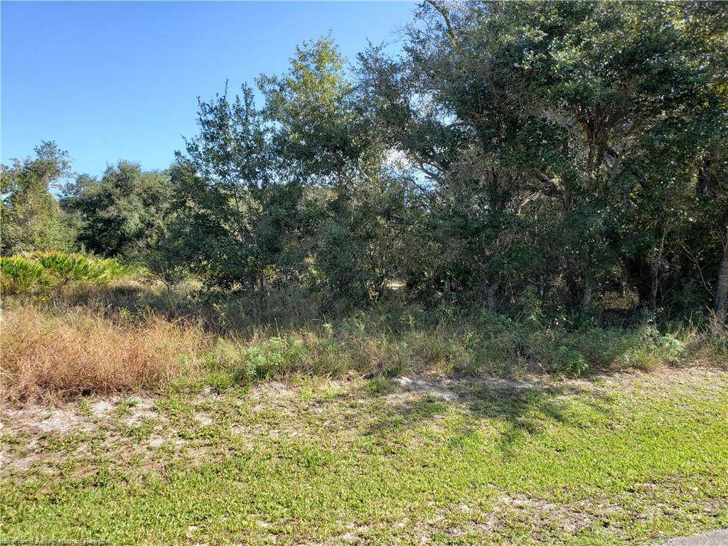 851 Larkspur Street - Photo 1