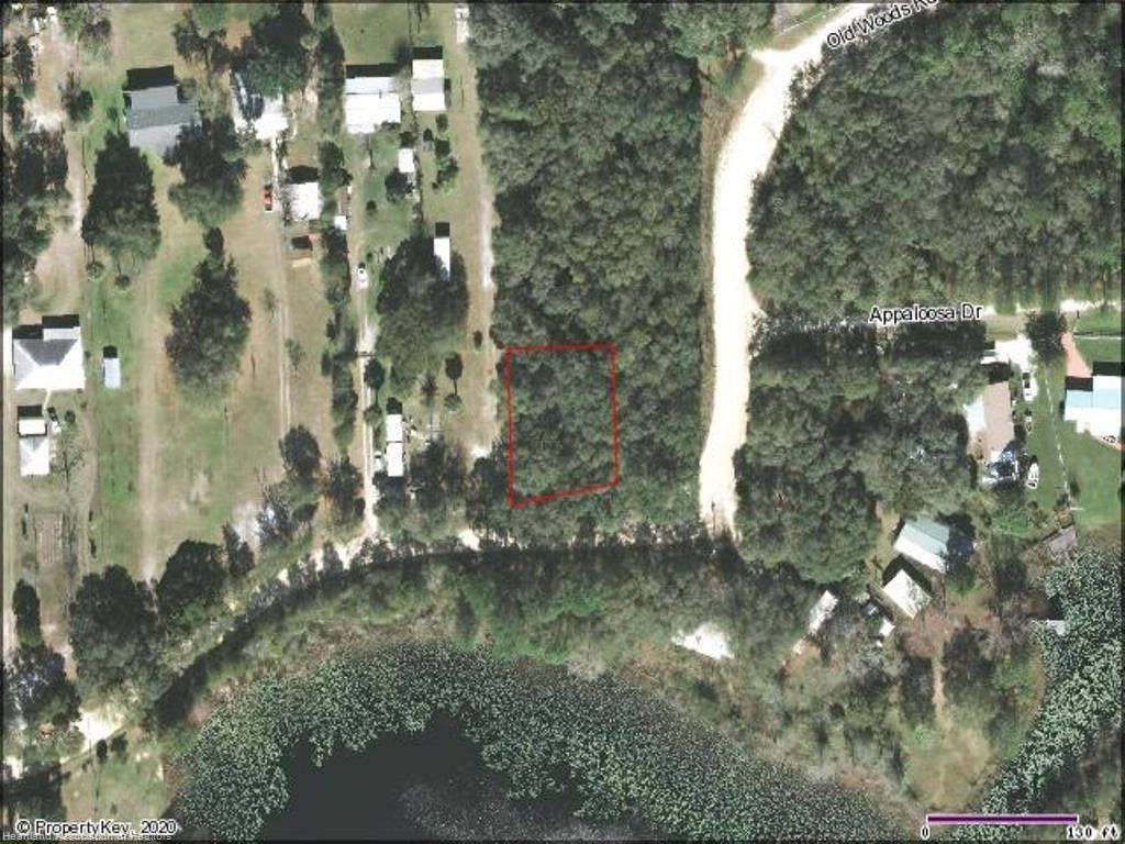 Old Woods - Lots 1+2 Block 1 Road - Photo 1