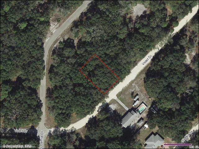 844 Violet Drive - Photo 1
