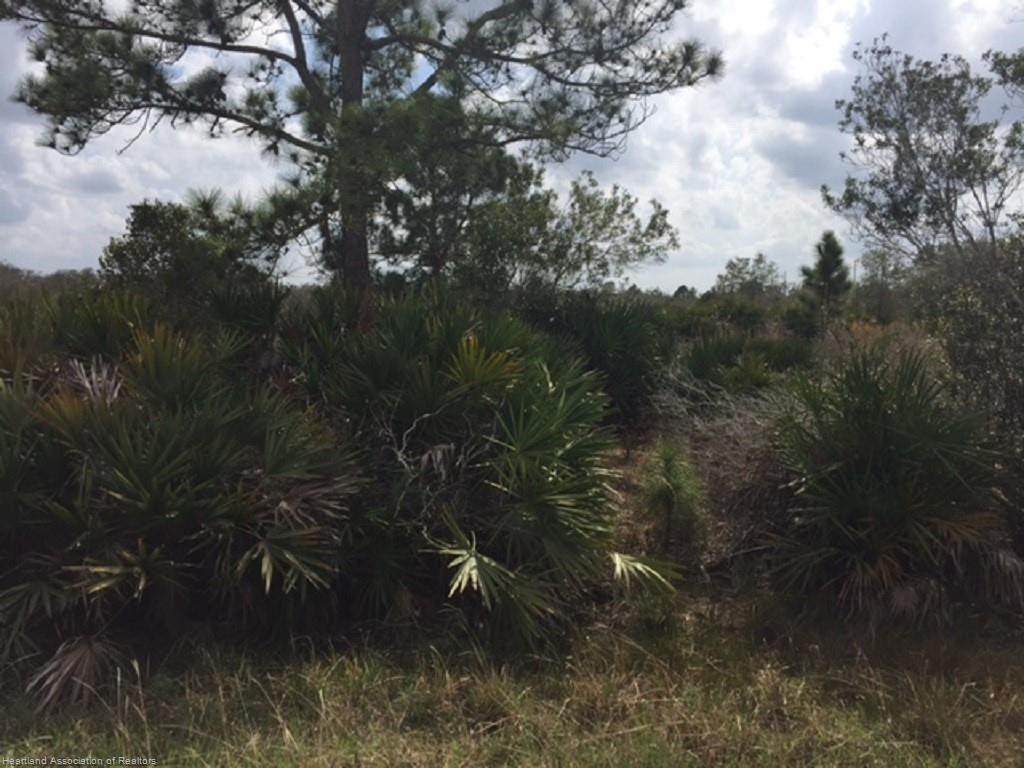2345 Shula Road - Photo 1