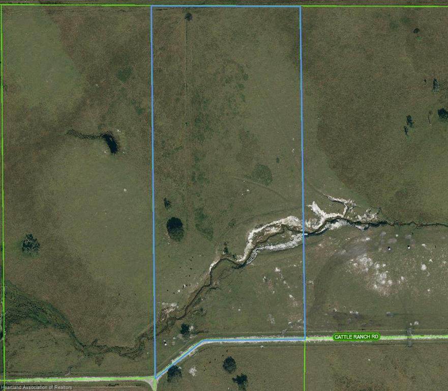 1008 Cattle Ranch Road - Photo 1