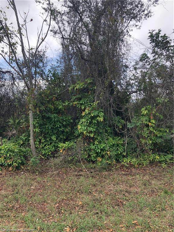 342 Lime Road - Photo 1